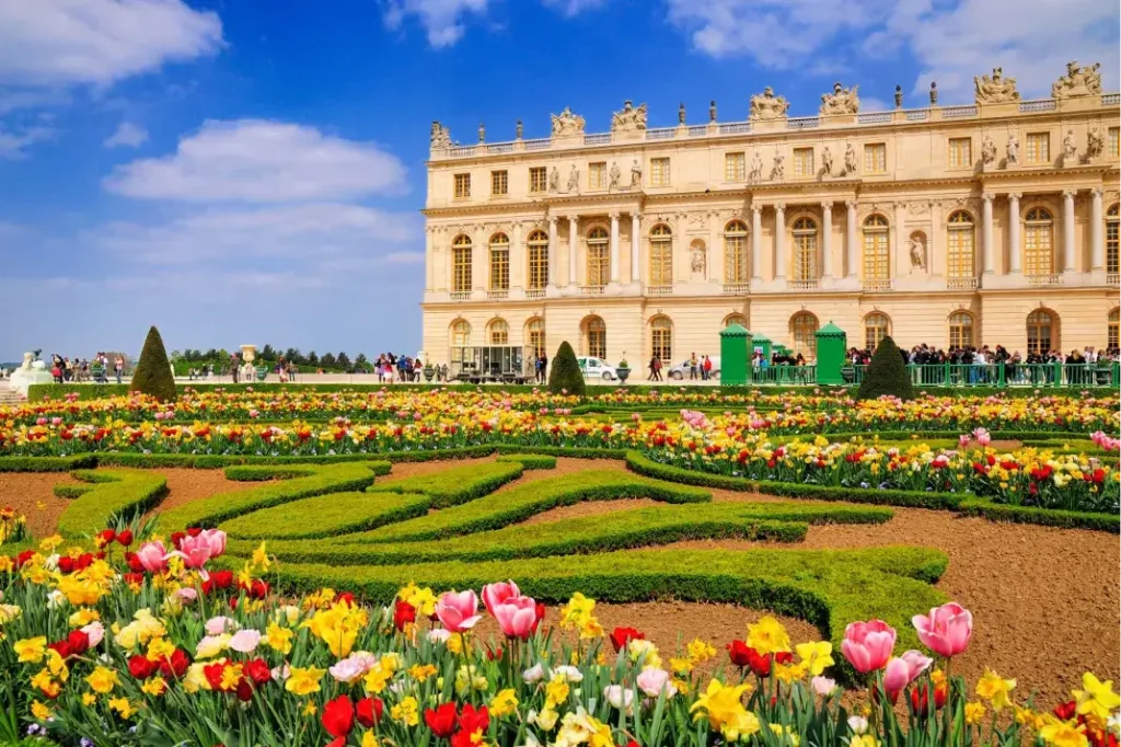 Parterres de tulipes et jonquilles devant la façade du château de Versailles au printemps