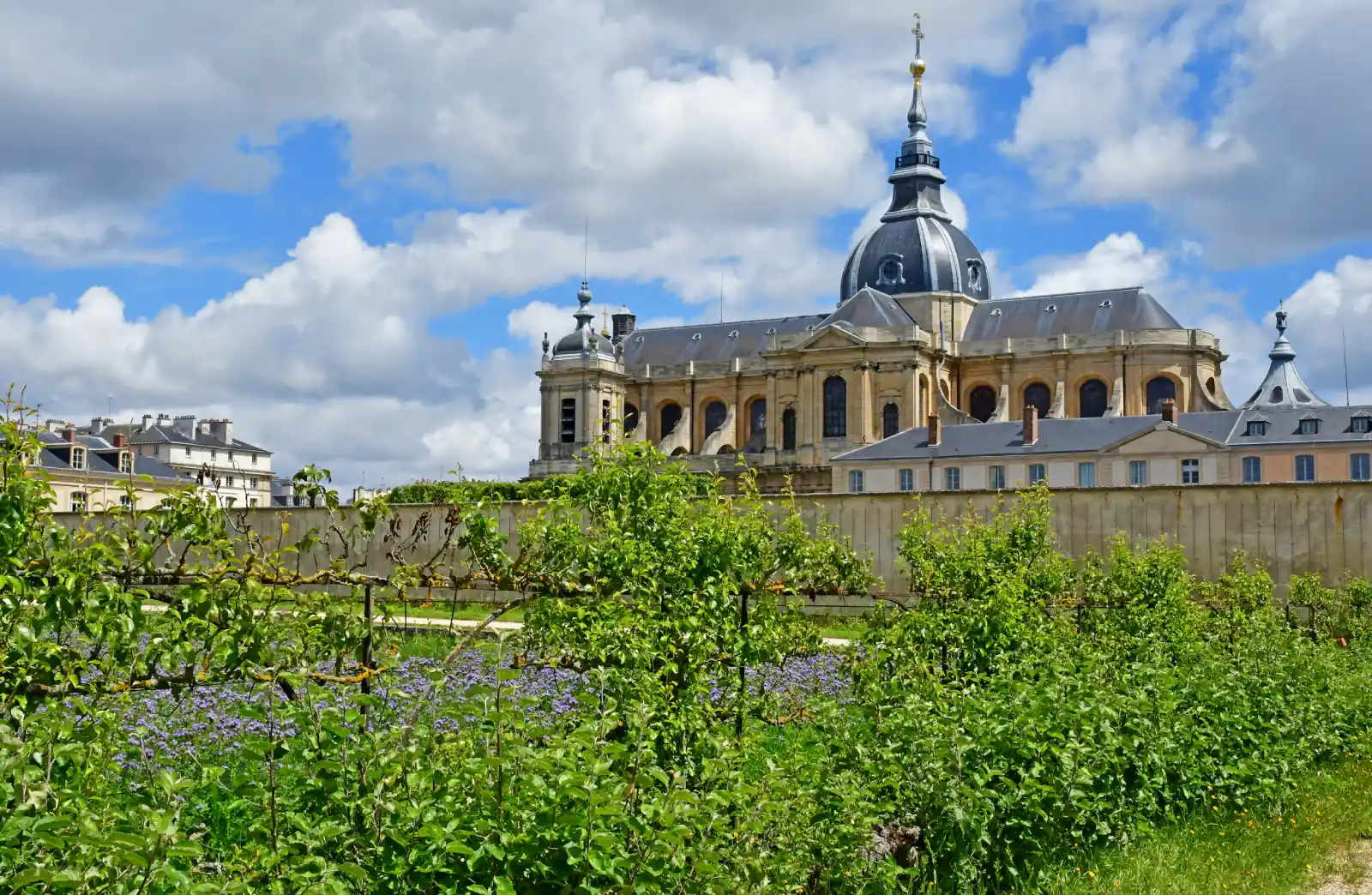 Hôtel Versailles Chantier - Le potager du roi